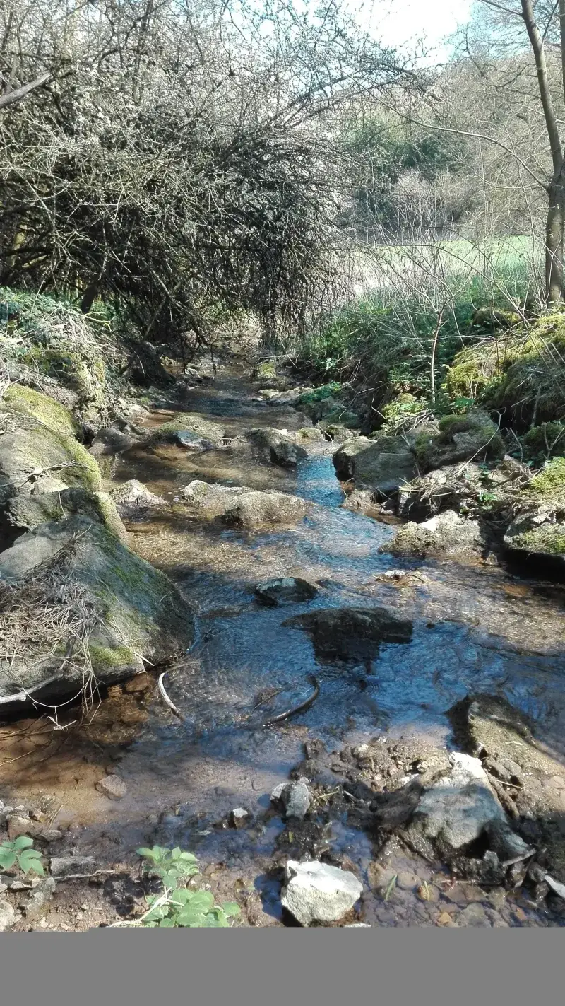 Eifelsteig Etappe 8 bei Kerpen